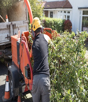 Plymouth Tree Service Image